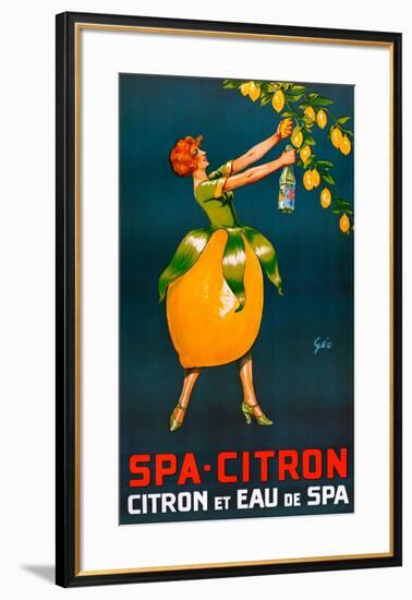 Spa-Citron-Francois Geo-Framed Art Print