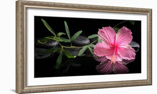 Spa Concept of Blooming Pink Hibiscus and Green Tendril Passionflower-Olga Khomyakova-Framed Photographic Print