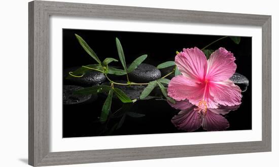 Spa Concept of Blooming Pink Hibiscus and Green Tendril Passionflower-Olga Khomyakova-Framed Photographic Print