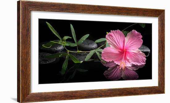 Spa Concept of Blooming Pink Hibiscus and Green Tendril Passionflower-Olga Khomyakova-Framed Photographic Print