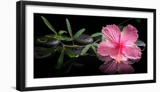 Spa Concept of Blooming Pink Hibiscus and Green Tendril Passionflower-Olga Khomyakova-Framed Photographic Print