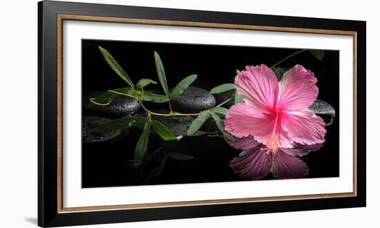 Spa Concept of Blooming Pink Hibiscus and Green Tendril Passionflower-Olga Khomyakova-Framed Photographic Print