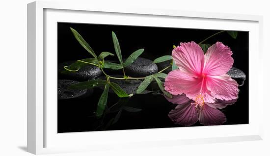 Spa Concept of Blooming Pink Hibiscus and Green Tendril Passionflower-Olga Khomyakova-Framed Photographic Print