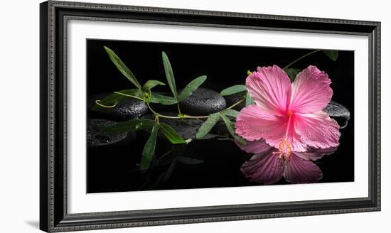 Spa Concept of Blooming Pink Hibiscus and Green Tendril Passionflower-Olga Khomyakova-Framed Photographic Print