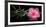 Spa Concept of Blooming Pink Hibiscus and Green Tendril Passionflower-Olga Khomyakova-Framed Photographic Print