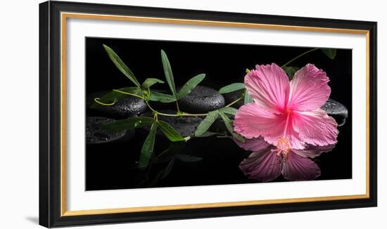 Spa Concept of Blooming Pink Hibiscus and Green Tendril Passionflower-Olga Khomyakova-Framed Photographic Print