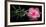 Spa Concept of Blooming Pink Hibiscus and Green Tendril Passionflower-Olga Khomyakova-Framed Photographic Print