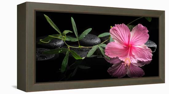 Spa Concept of Blooming Pink Hibiscus and Green Tendril Passionflower-Olga Khomyakova-Framed Premier Image Canvas