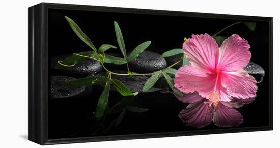 Spa Concept of Blooming Pink Hibiscus and Green Tendril Passionflower-Olga Khomyakova-Framed Premier Image Canvas