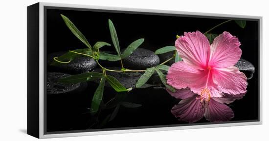 Spa Concept of Blooming Pink Hibiscus and Green Tendril Passionflower-Olga Khomyakova-Framed Premier Image Canvas