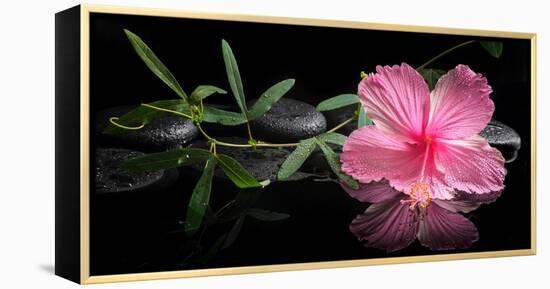 Spa Concept of Blooming Pink Hibiscus and Green Tendril Passionflower-Olga Khomyakova-Framed Premier Image Canvas