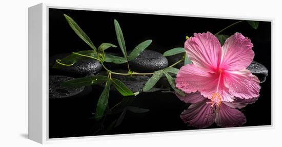 Spa Concept of Blooming Pink Hibiscus and Green Tendril Passionflower-Olga Khomyakova-Framed Premier Image Canvas