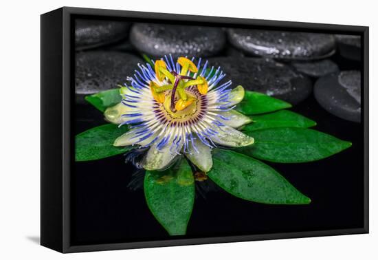 Spa Concept of Passiflora Flower on Green Leaf, Zen Basalt Stones with Drops in Water, Closeup-Olga Khomyakova-Framed Premier Image Canvas