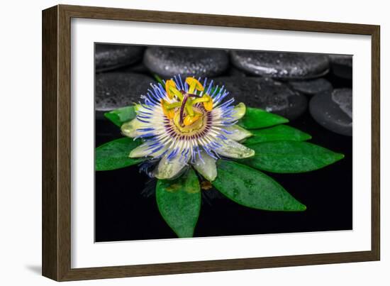 Spa Concept of Passiflora Flower on Green Leaf, Zen Basalt Stones with Drops in Water, Closeup-Olga Khomyakova-Framed Photographic Print