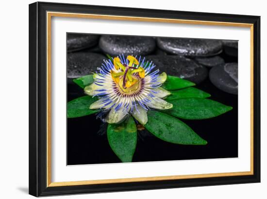 Spa Concept of Passiflora Flower on Green Leaf, Zen Basalt Stones with Drops in Water, Closeup-Olga Khomyakova-Framed Photographic Print