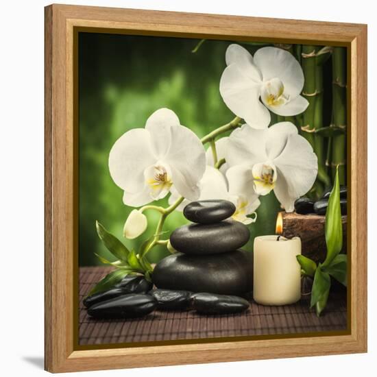 Spa Concept with Zen Basalt Stones and Orchid-scorpp-Framed Premier Image Canvas