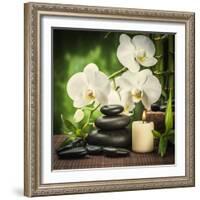 Spa Concept with Zen Basalt Stones and Orchid-scorpp-Framed Photographic Print