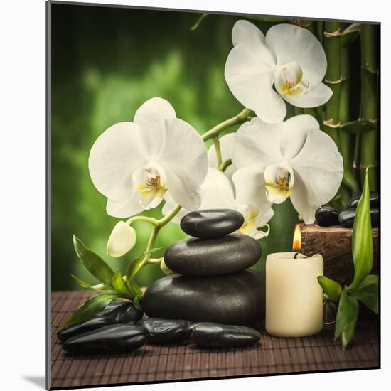 Spa Concept with Zen Basalt Stones and Orchid-scorpp-Mounted Photographic Print