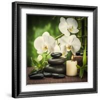 Spa Concept with Zen Basalt Stones and Orchid-scorpp-Framed Photographic Print