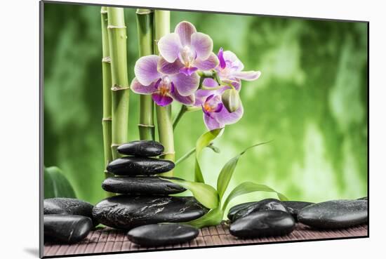 Spa Concept with Zen Basalt Stones ,Orchid and Bamboo-scorpp-Mounted Photographic Print