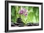 Spa Concept with Zen Basalt Stones ,Orchid and Bamboo-scorpp-Framed Photographic Print