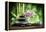 Spa Concept Zen Basalt Stones ,Orchid and Candle-scorpp-Framed Premier Image Canvas