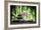 Spa Concept Zen Basalt Stones ,Orchid and Candle-scorpp-Framed Photographic Print