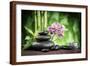 Spa Concept Zen Basalt Stones ,Orchid and Candle-scorpp-Framed Photographic Print