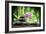 Spa Concept Zen Basalt Stones ,Orchid and Candle-scorpp-Framed Photographic Print