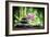 Spa Concept Zen Basalt Stones ,Orchid and Candle-scorpp-Framed Photographic Print