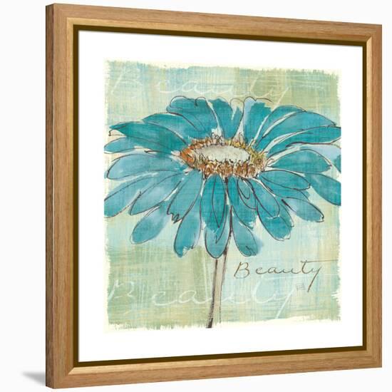 Spa Daisies I-Chris Paschke-Framed Stretched Canvas