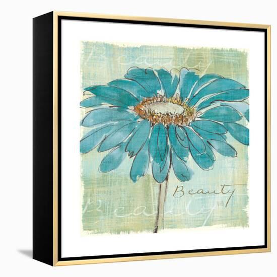 Spa Daisies I-Chris Paschke-Framed Stretched Canvas