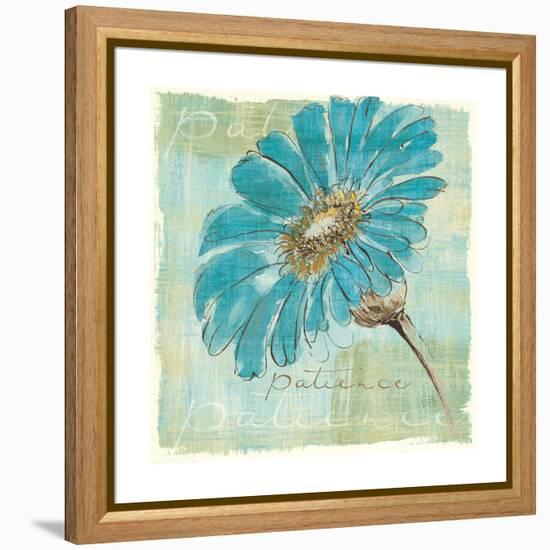 Spa Daisies II-Chris Paschke-Framed Stretched Canvas