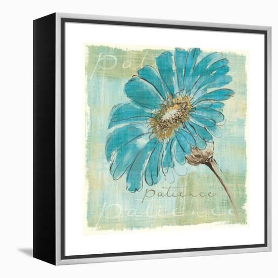 Spa Daisies II-Chris Paschke-Framed Stretched Canvas