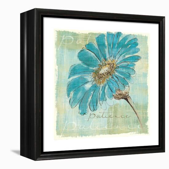 Spa Daisies II-Chris Paschke-Framed Stretched Canvas