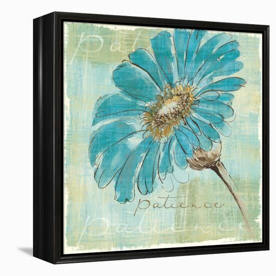 Spa Daisies II-Chris Paschke-Framed Stretched Canvas
