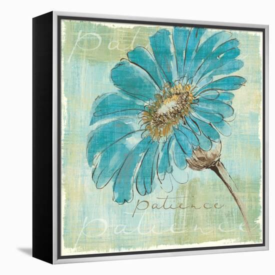 Spa Daisies II-Chris Paschke-Framed Stretched Canvas