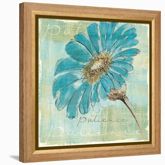 Spa Daisies II-Chris Paschke-Framed Stretched Canvas