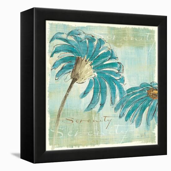 Spa Daisies IV-Chris Paschke-Framed Stretched Canvas