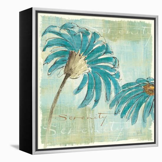 Spa Daisies IV-Chris Paschke-Framed Stretched Canvas