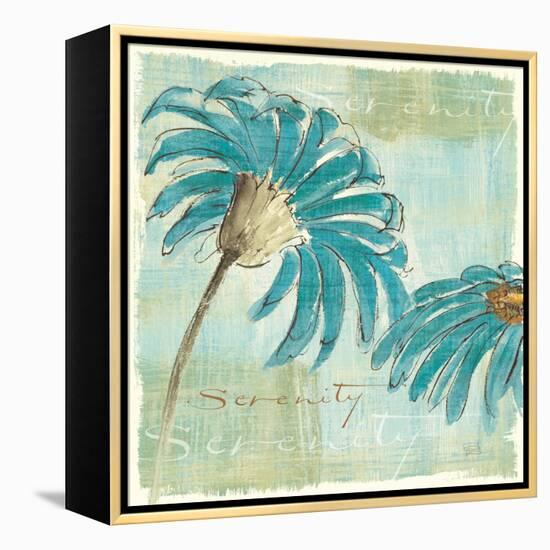 Spa Daisies IV-Chris Paschke-Framed Stretched Canvas