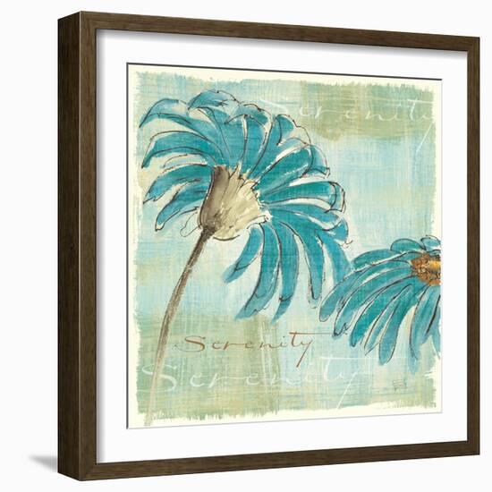 Spa Daisies IV-Chris Paschke-Framed Art Print