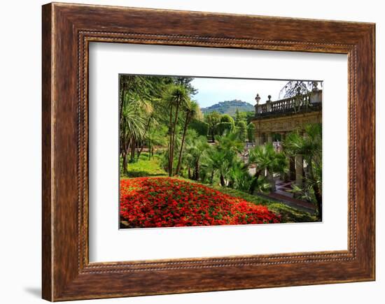 Spa Gardens with View of Montecatini Alto at Montecatini Thermal Baths, Tuscany, Italy-null-Framed Art Print