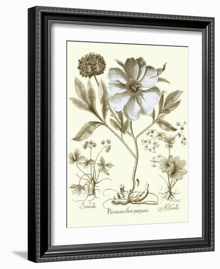 Spa Peonies II-Basilius Besler-Framed Art Print