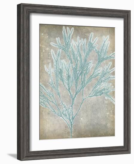 Spa Seaweed I-Jennifer Goldberger-Framed Art Print