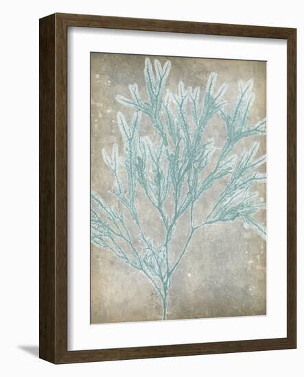 Spa Seaweed I-Jennifer Goldberger-Framed Art Print