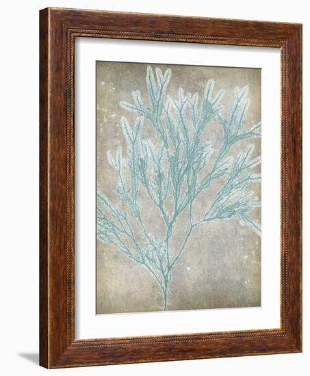 Spa Seaweed I-Jennifer Goldberger-Framed Art Print