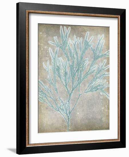 Spa Seaweed I-Jennifer Goldberger-Framed Art Print