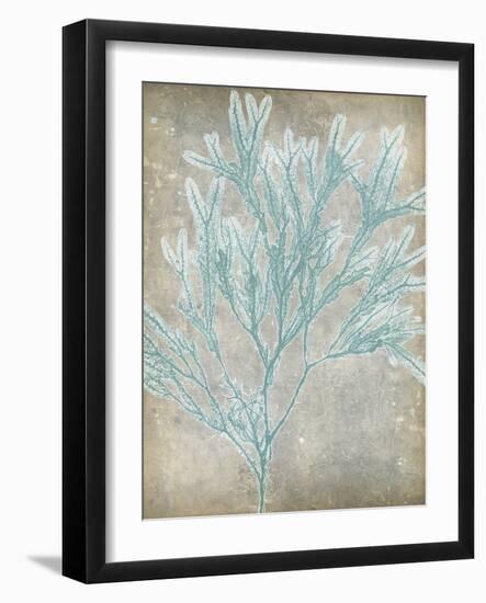 Spa Seaweed I-Jennifer Goldberger-Framed Art Print