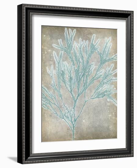 Spa Seaweed I-Jennifer Goldberger-Framed Art Print